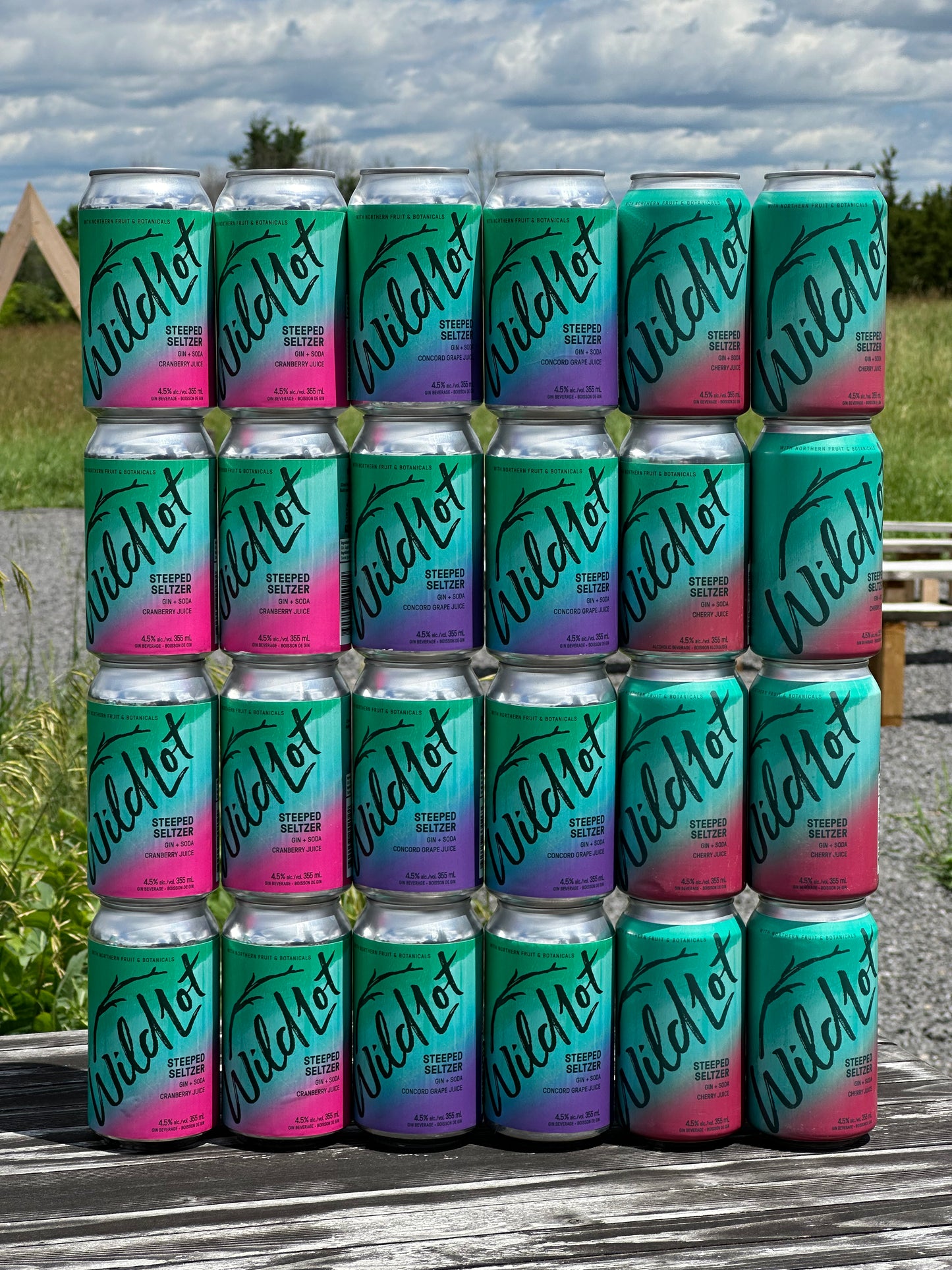 Gin+Soda Variety Pack (24pk)