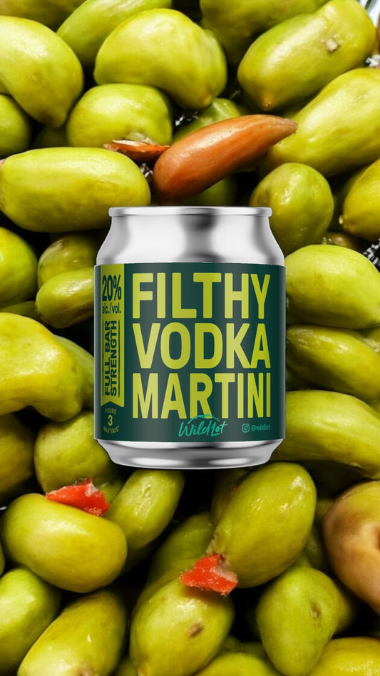 *Bar Strength* Filthy Vodka Martini (20% ABV, Each Can Serves 3)