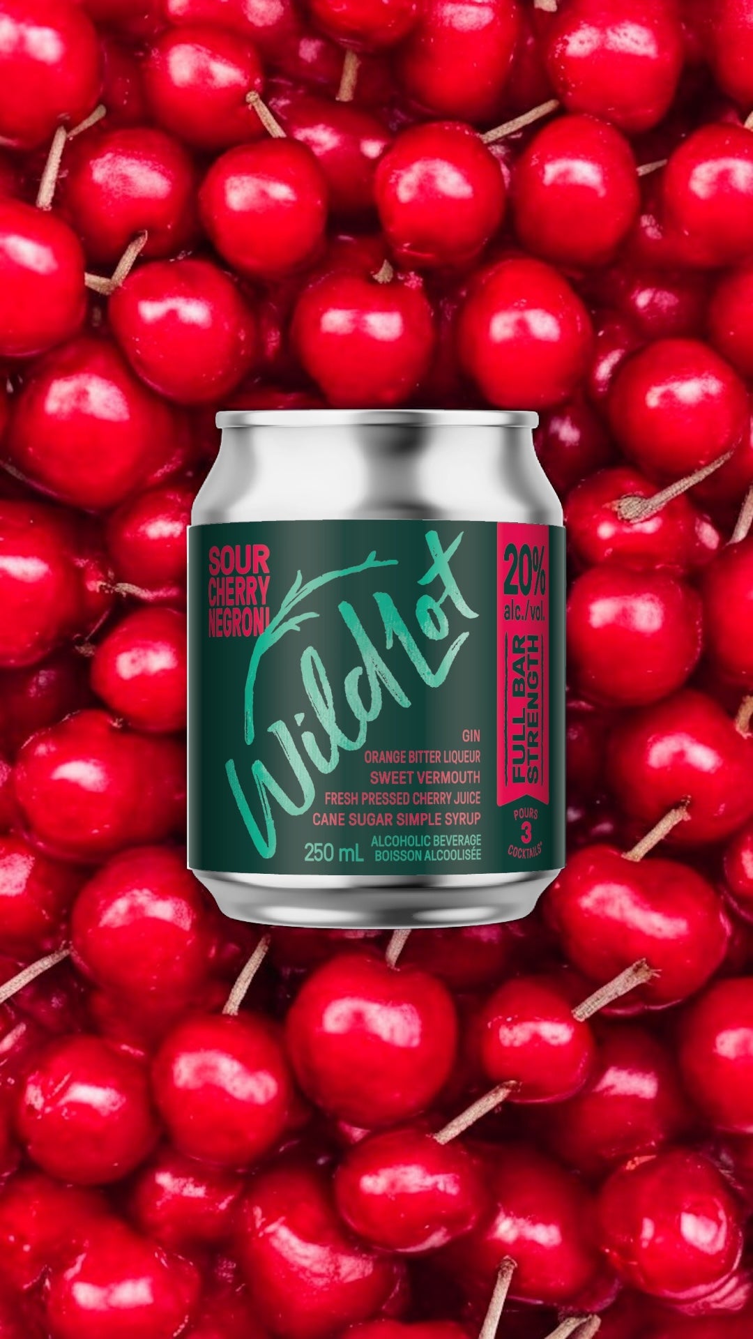 *Bar Strength* Sour Cherry Negroni Cocktail (20% ABV, Each Can Serves 3)