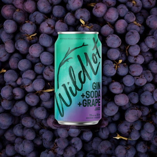 Gin + Soda + Grape Juice (6 Pack Cans)