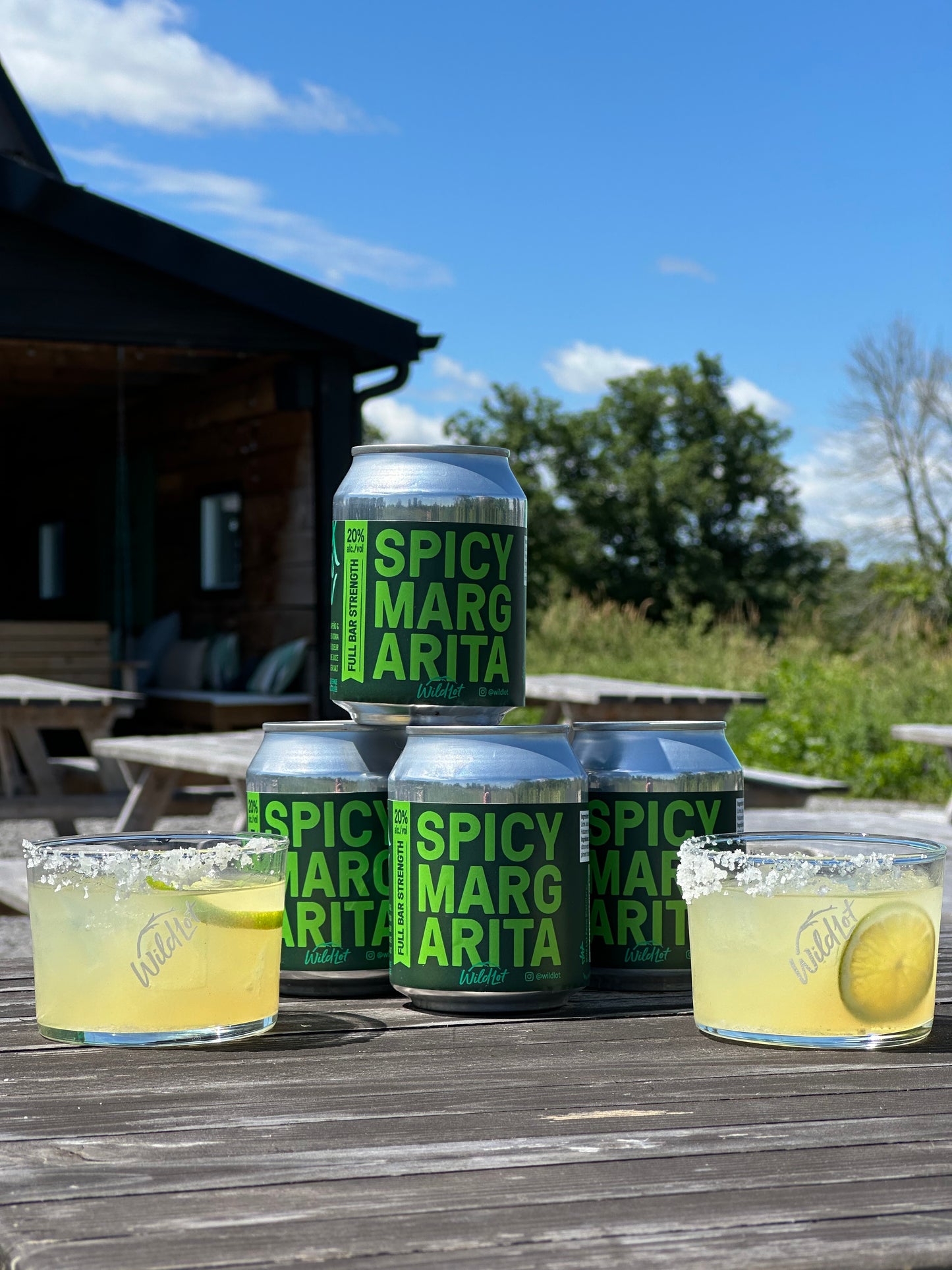 Stubby Can - Spicy Margarita (20% ABV, 8oz, 3 Perfect Pours)
