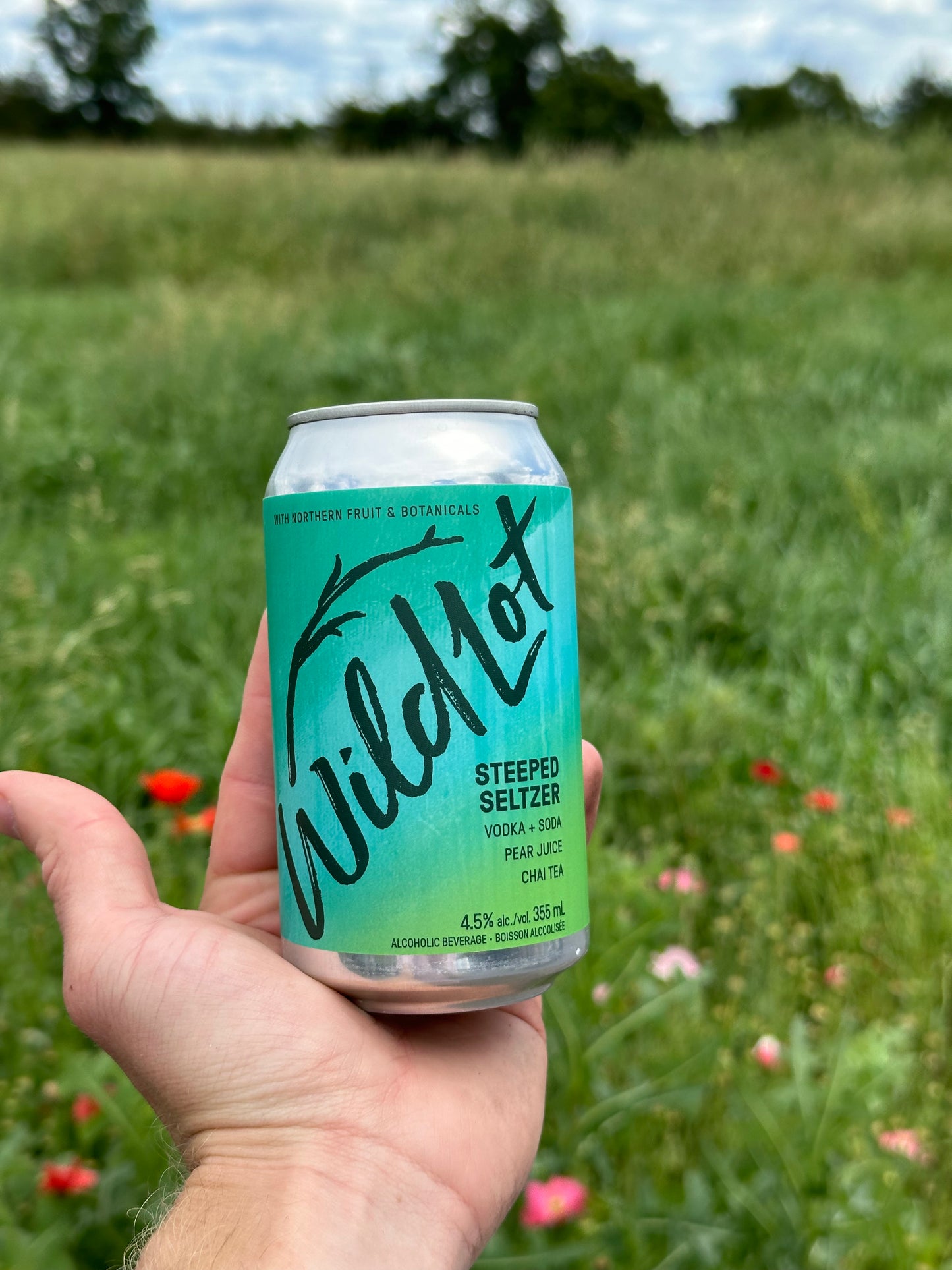 Hard Seltzer Variety Pack (12pk)