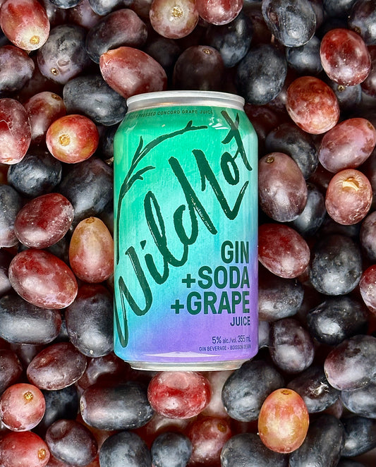 Gin+Soda+Concord Grape Juice (6pk)